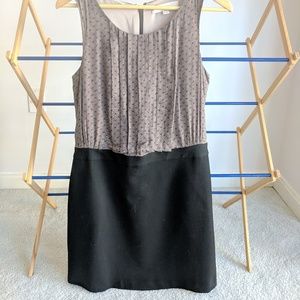 Black and Cream dress